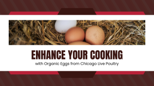 MAS-516-6 Chicago Live Poultry